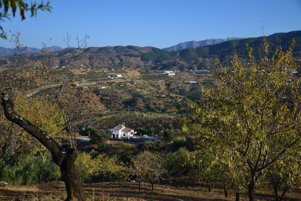The African House Bed and Breakfast Tolox Εξωτερικό φωτογραφία