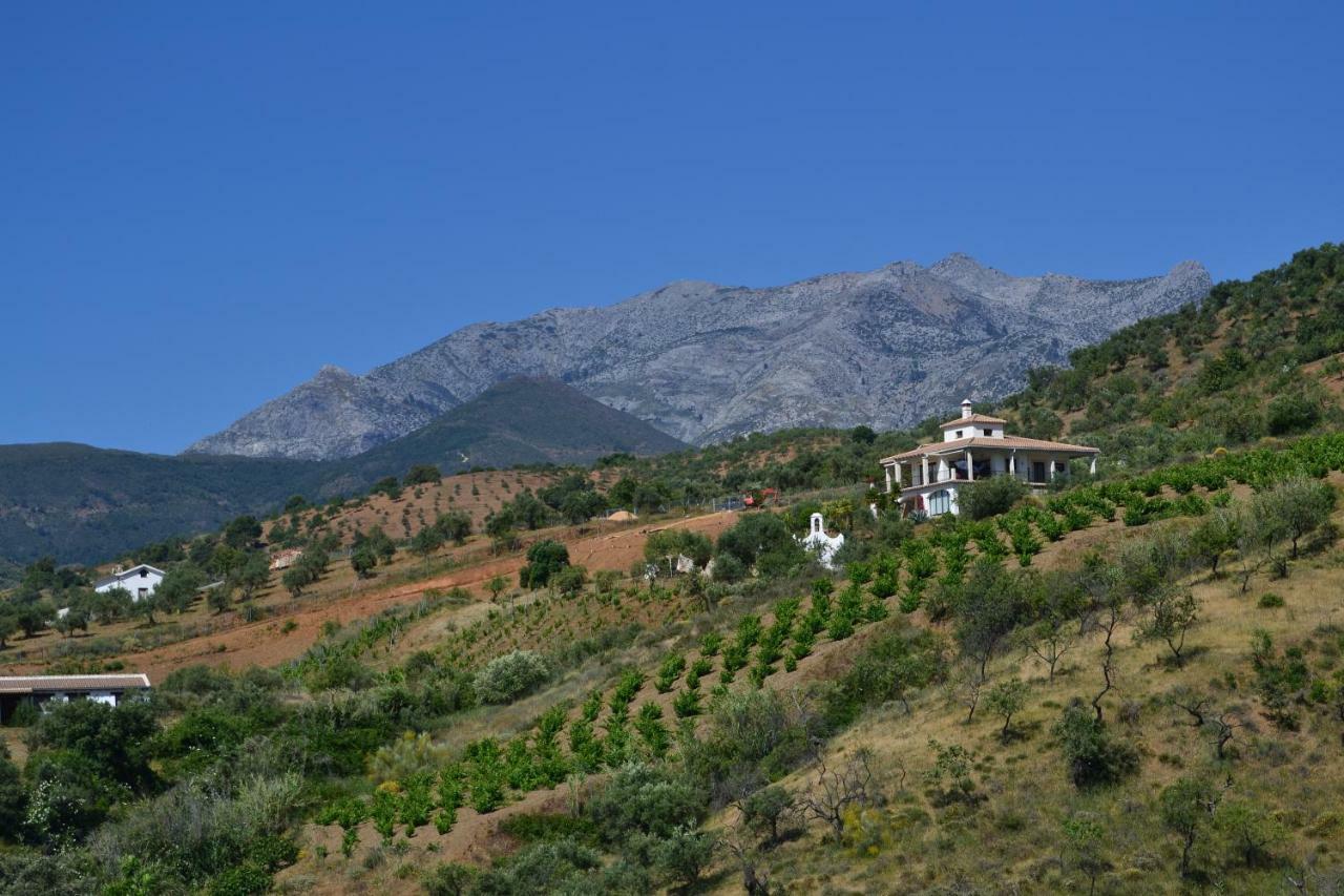 The African House Bed and Breakfast Tolox Εξωτερικό φωτογραφία
